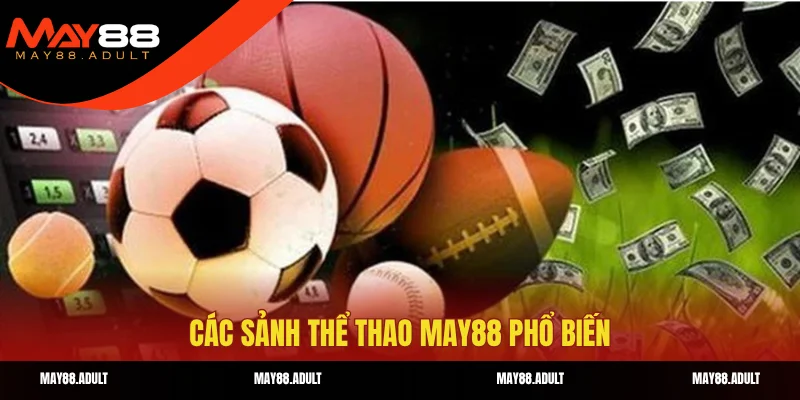 Các sảnh thể thao May88 phổ biến
